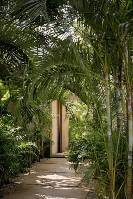 Casa Areca, Awarded Architectural Villa Located In A Secured Gated Community, With Concierge Services Тулум Екстер'єр фото
